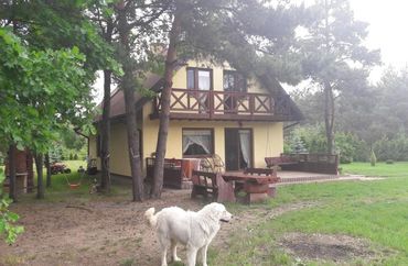 12343811 - zdjęcie ogłoszenia