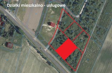 12454996 - zdjęcie ogłoszenia