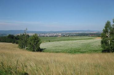 12462783 - zdjęcie ogłoszenia