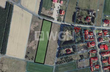 12559208 - zdjęcie ogłoszenia