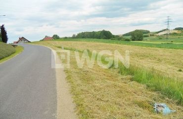 12559467 - zdjęcie ogłoszenia