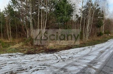 12684823 - zdjęcie ogłoszenia