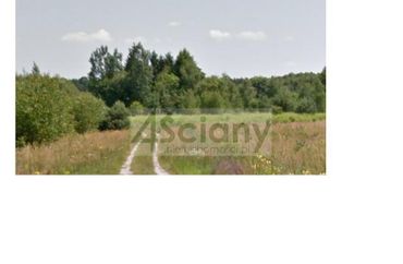 12684824 - zdjęcie ogłoszenia
