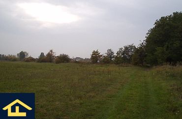 13343384 - zdjęcie ogłoszenia