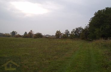 13343384 - zdjęcie ogłoszenia