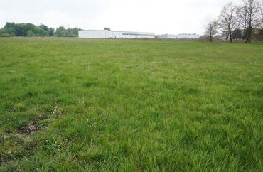 13368950 - zdjęcie ogłoszenia