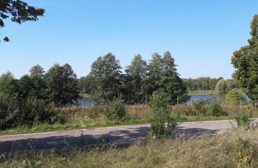 13425484 - zdjęcie ogłoszenia