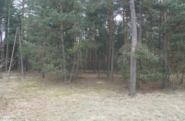 13544160 - zdjęcie ogłoszenia