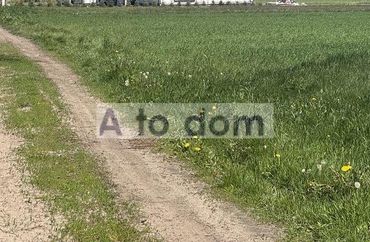 14052724 - zdjęcie ogłoszenia