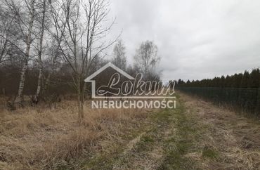 14278529 - zdjęcie ogłoszenia