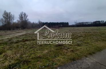 14295148 - zdjęcie ogłoszenia