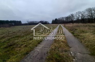 14295166 - zdjęcie ogłoszenia