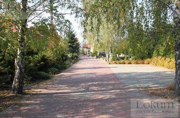 14343094 - zdjęcie ogłoszenia