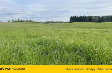 14397095 - zdjęcie ogłoszenia