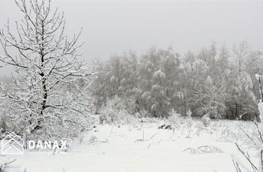 14483677 - zdjęcie ogłoszenia