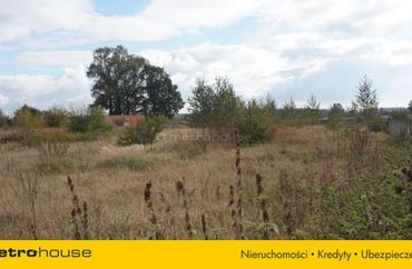 14518255 - zdjęcie ogłoszenia