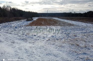 14619425 - zdjęcie ogłoszenia