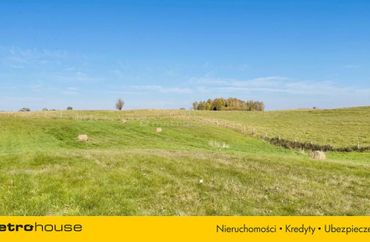 14648230 - zdjęcie ogłoszenia