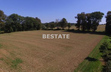 14688585 - zdjęcie ogłoszenia