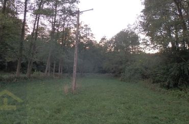 14829382 - zdjęcie ogłoszenia