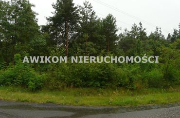 14923825 - zdjęcie ogłoszenia