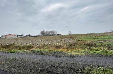 14963510 - zdjęcie ogłoszenia