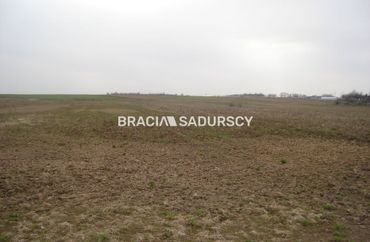 15133381 - zdjęcie ogłoszenia