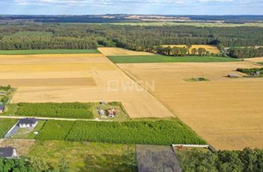 15178876 - zdjęcie ogłoszenia