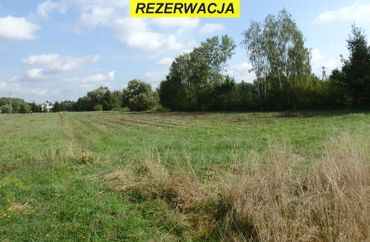 15218531 - zdjęcie ogłoszenia