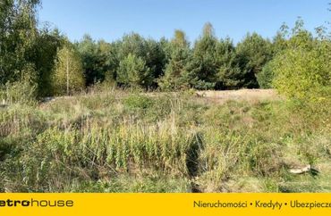 15226942 - zdjęcie ogłoszenia