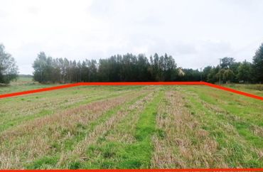 15235986 - zdjęcie ogłoszenia