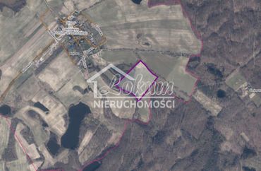 15268980 - zdjęcie ogłoszenia