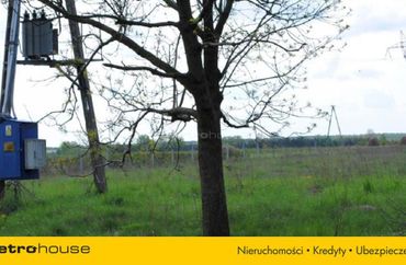 15294954 - zdjęcie ogłoszenia