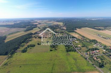 15321322 - zdjęcie ogłoszenia