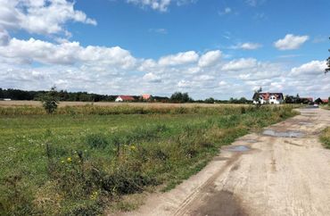 15324082 - zdjęcie ogłoszenia