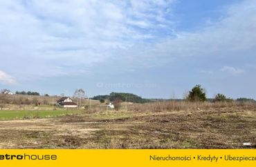 15331133 - zdjęcie ogłoszenia