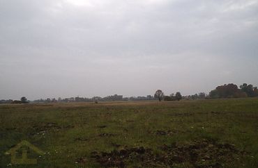 15335019 - zdjęcie ogłoszenia