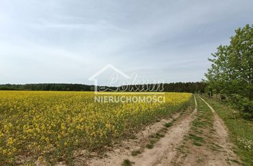 15357360 - zdjęcie ogłoszenia