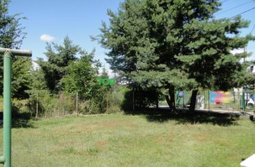 15417229 - zdjęcie ogłoszenia