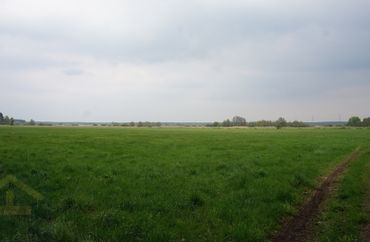 15426443 - zdjęcie ogłoszenia