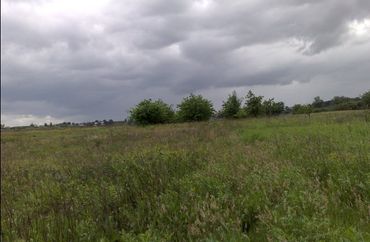 15445145 - zdjęcie ogłoszenia