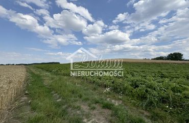 15468448 - zdjęcie ogłoszenia