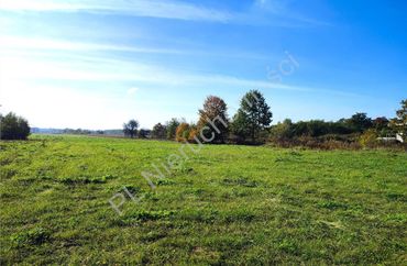 15487804 - zdjęcie ogłoszenia