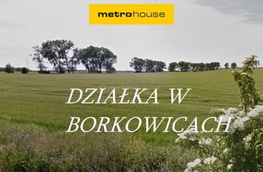 15529437 - zdjęcie ogłoszenia
