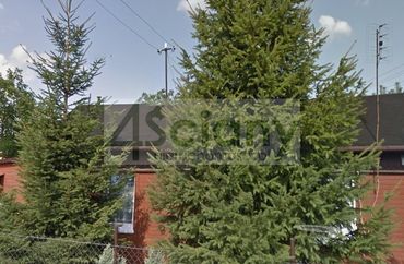 15533773 - zdjęcie ogłoszenia