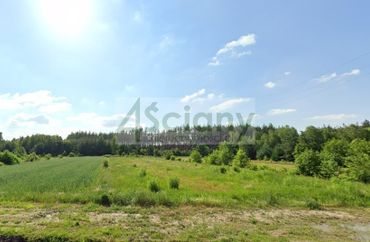 15557673 - zdjęcie ogłoszenia
