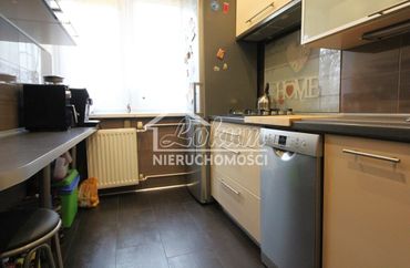 15560492 - zdjęcie ogłoszenia