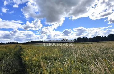 15561901 - zdjęcie ogłoszenia