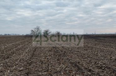15577176 - zdjęcie ogłoszenia