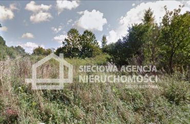 15582010 - zdjęcie ogłoszenia